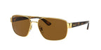 RayBan RB3663