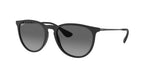 Ray-Ban RB4171 ERIKA