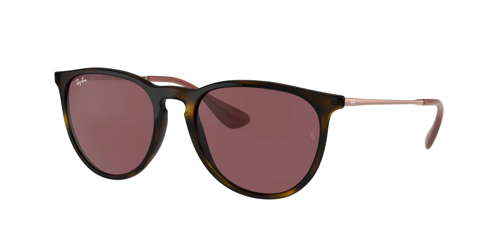 Ray-Ban RB4171 ERIKA