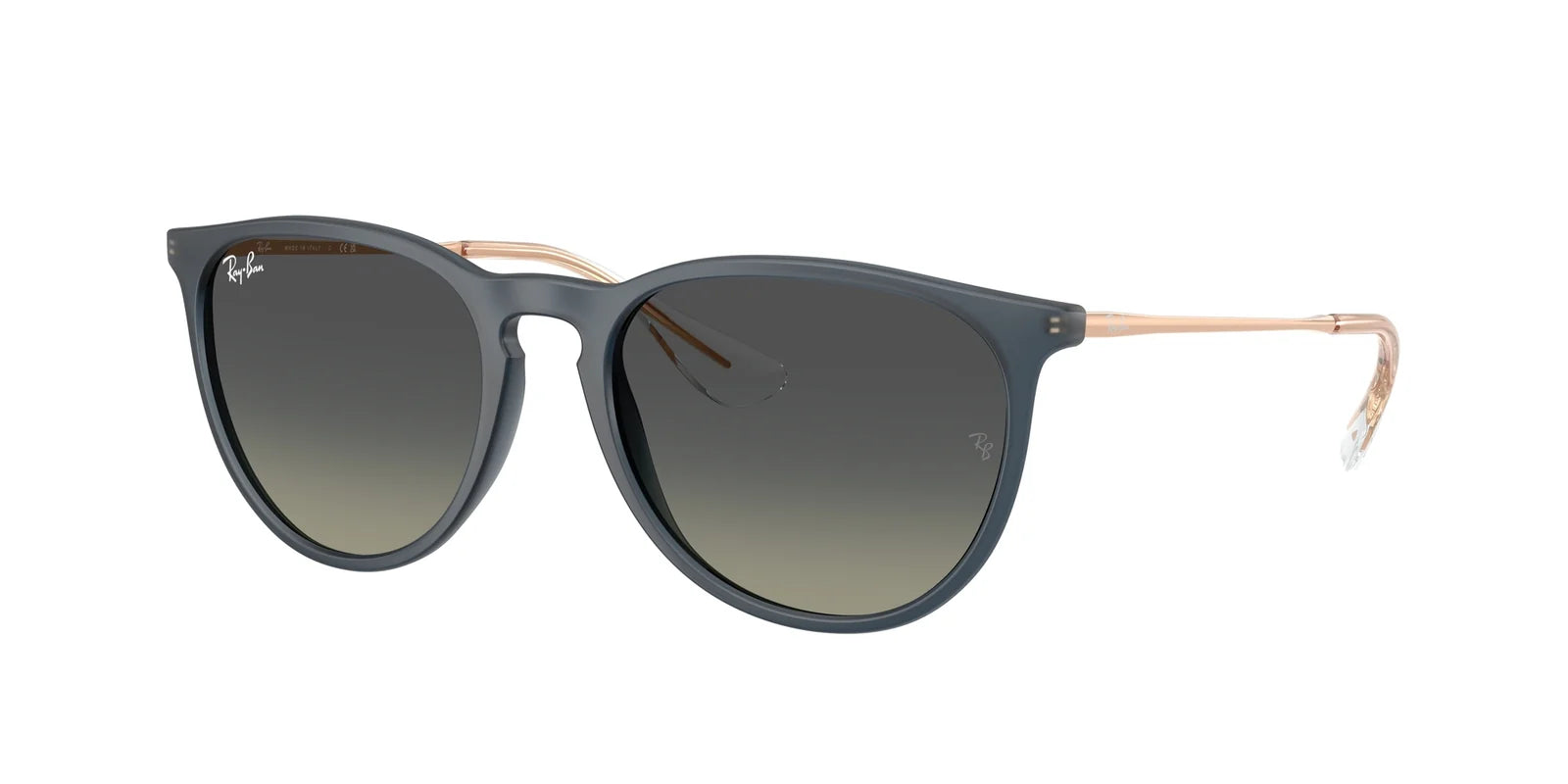 Ray-Ban RB4171 ERIKA