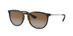 Ray-Ban RB4171 ERIKA