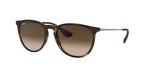 Ray-Ban RB4171 ERIKA