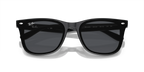 RayBan RB4420