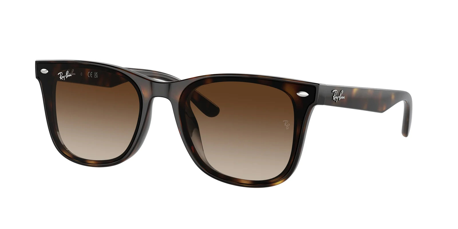 RayBan RB4420