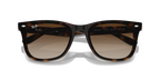 Ray - Ban RB4420