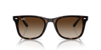 Ray - Ban RB4420