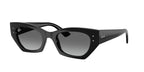 Ray-Ban RB4430 ZENA