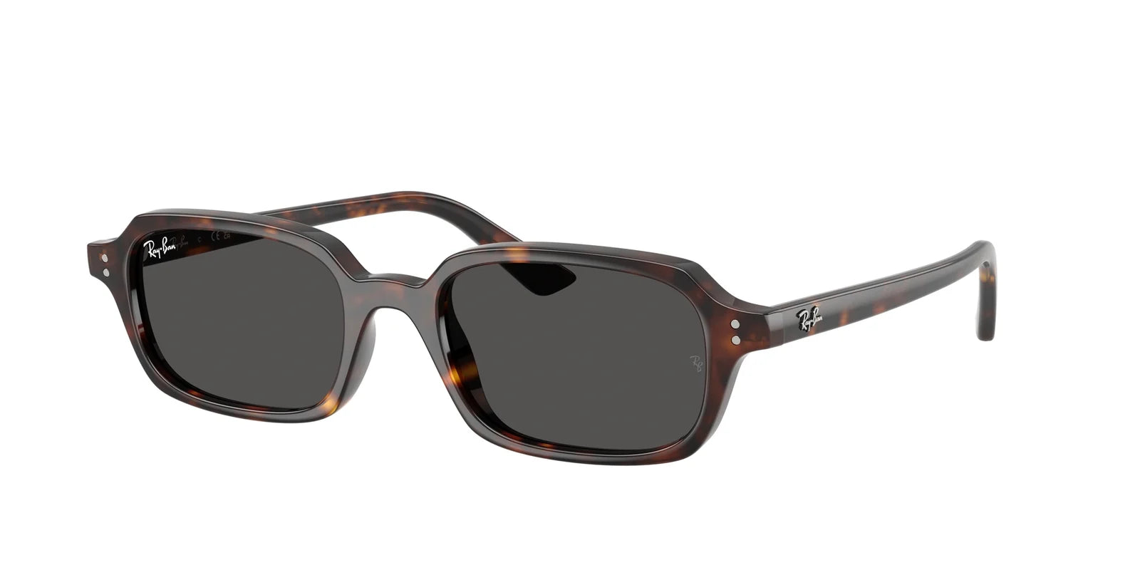 Ray-Ban RB4455 ZURI