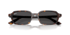 Ray-Ban RB4455 ZURI