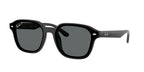 Ray-Ban RB4458D
