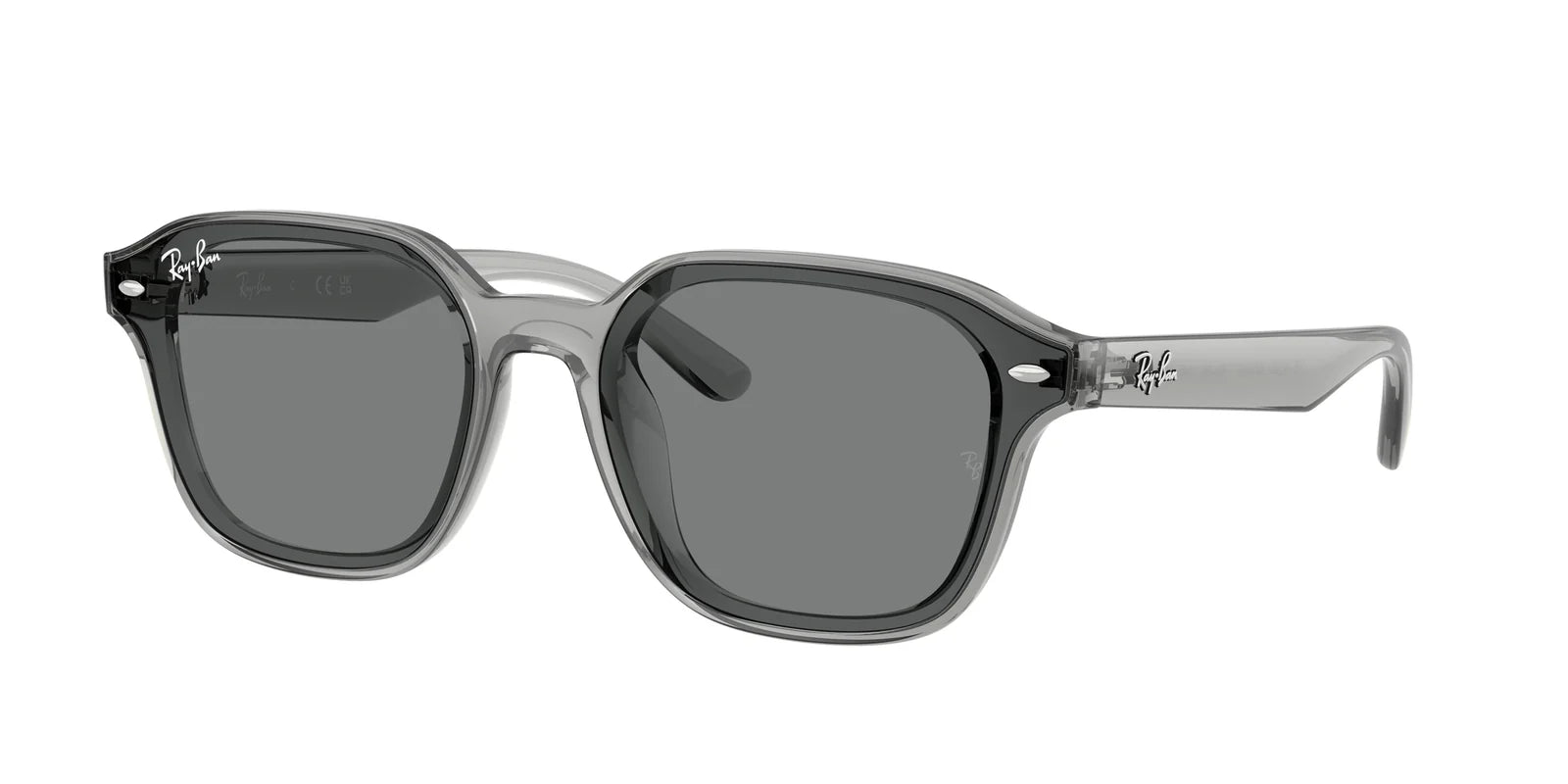 Ray-Ban RB4458D