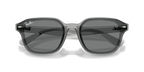 Ray-Ban RB4458D