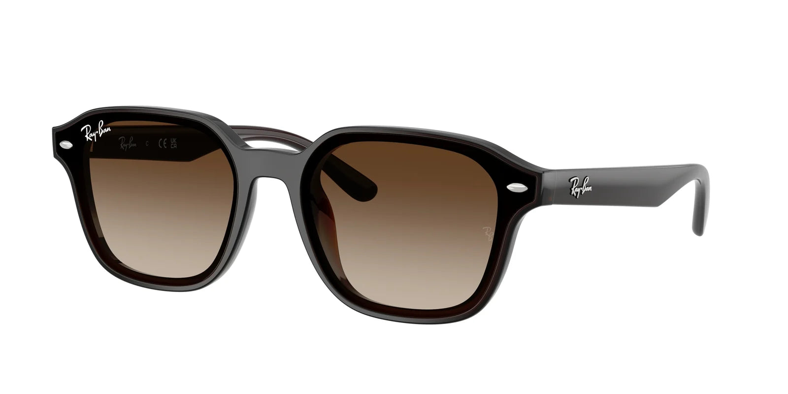 Ray-Ban RB4458D