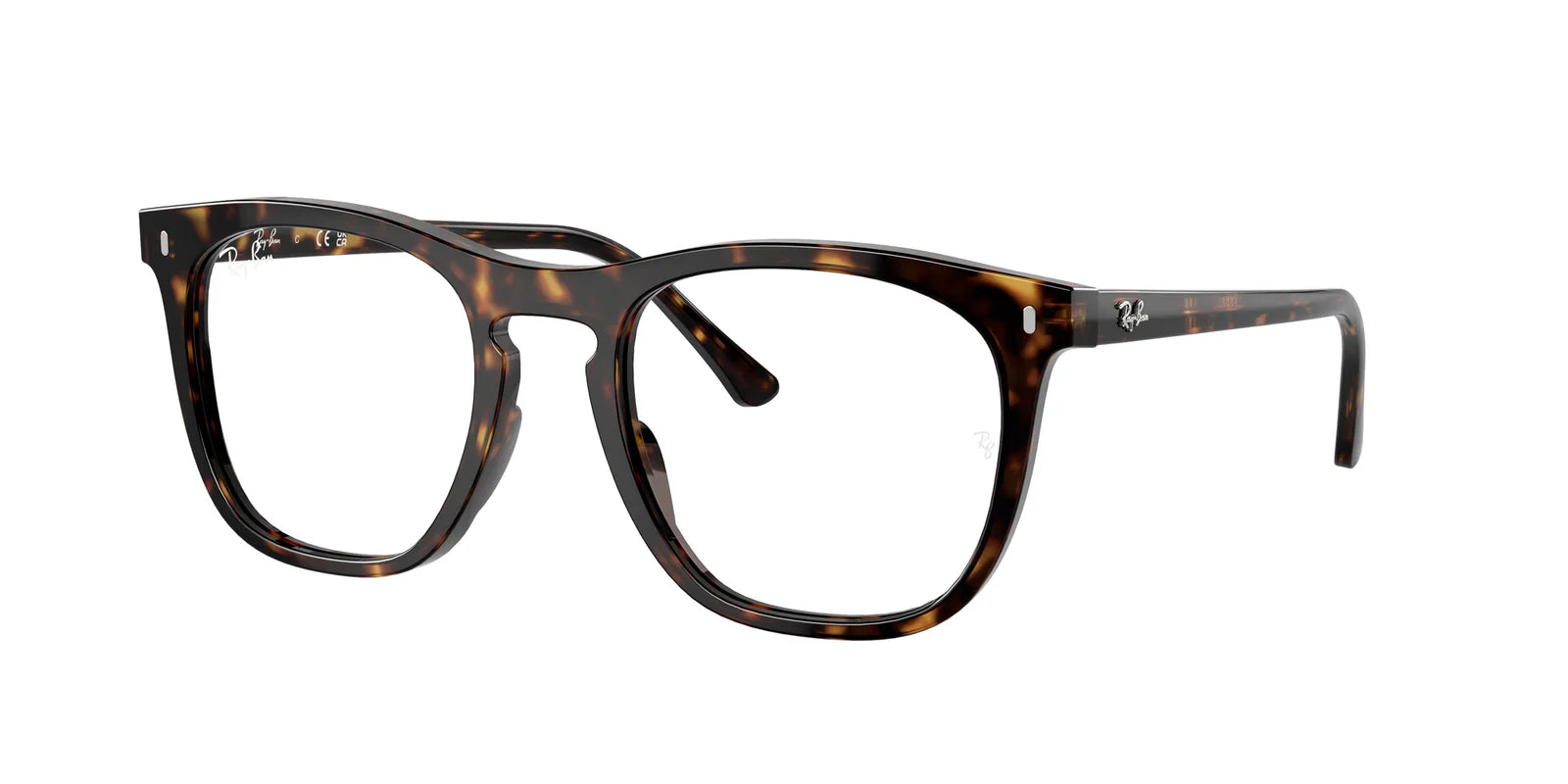 RayBan RX2210V