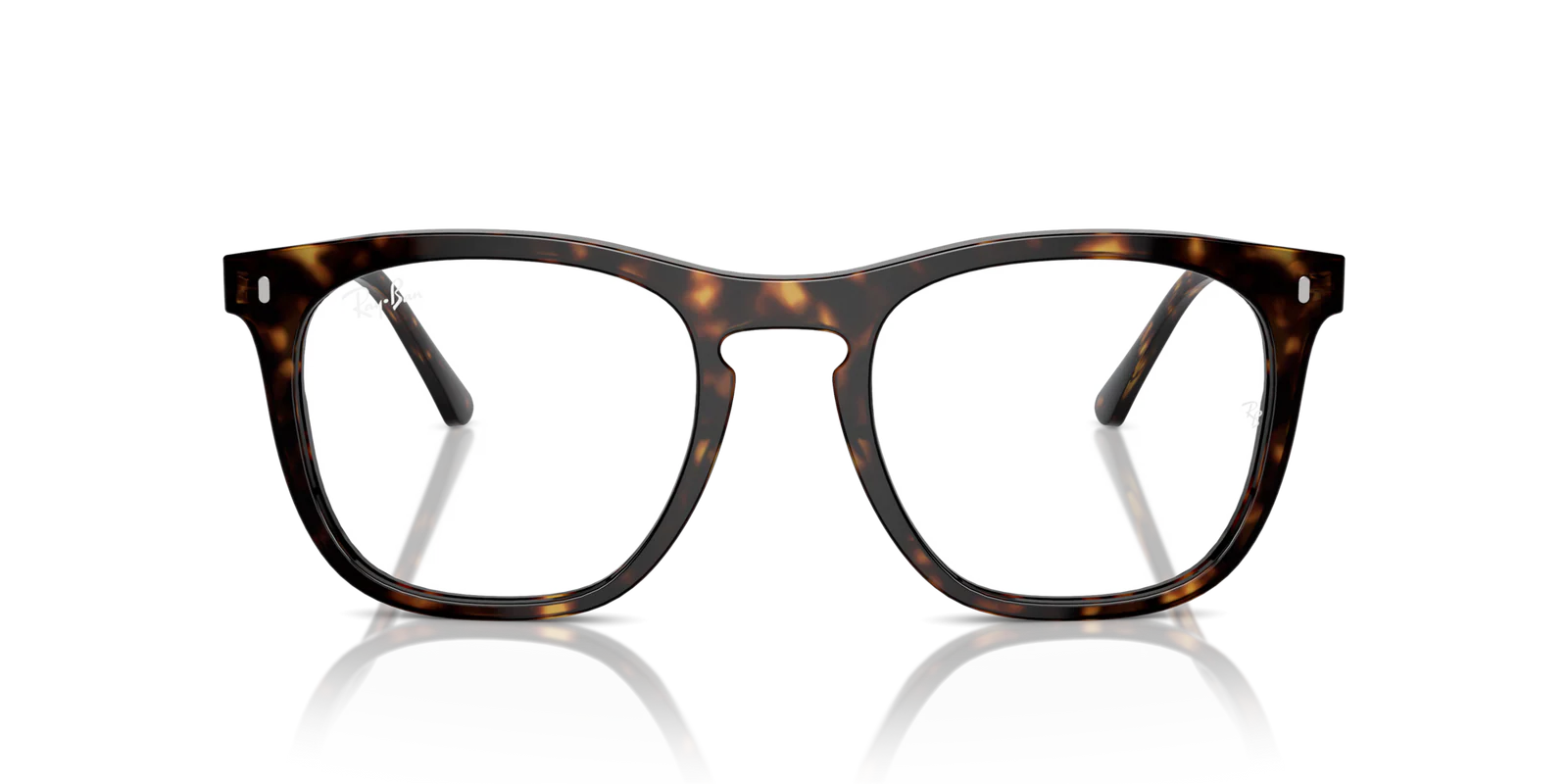 RayBan RX2210V