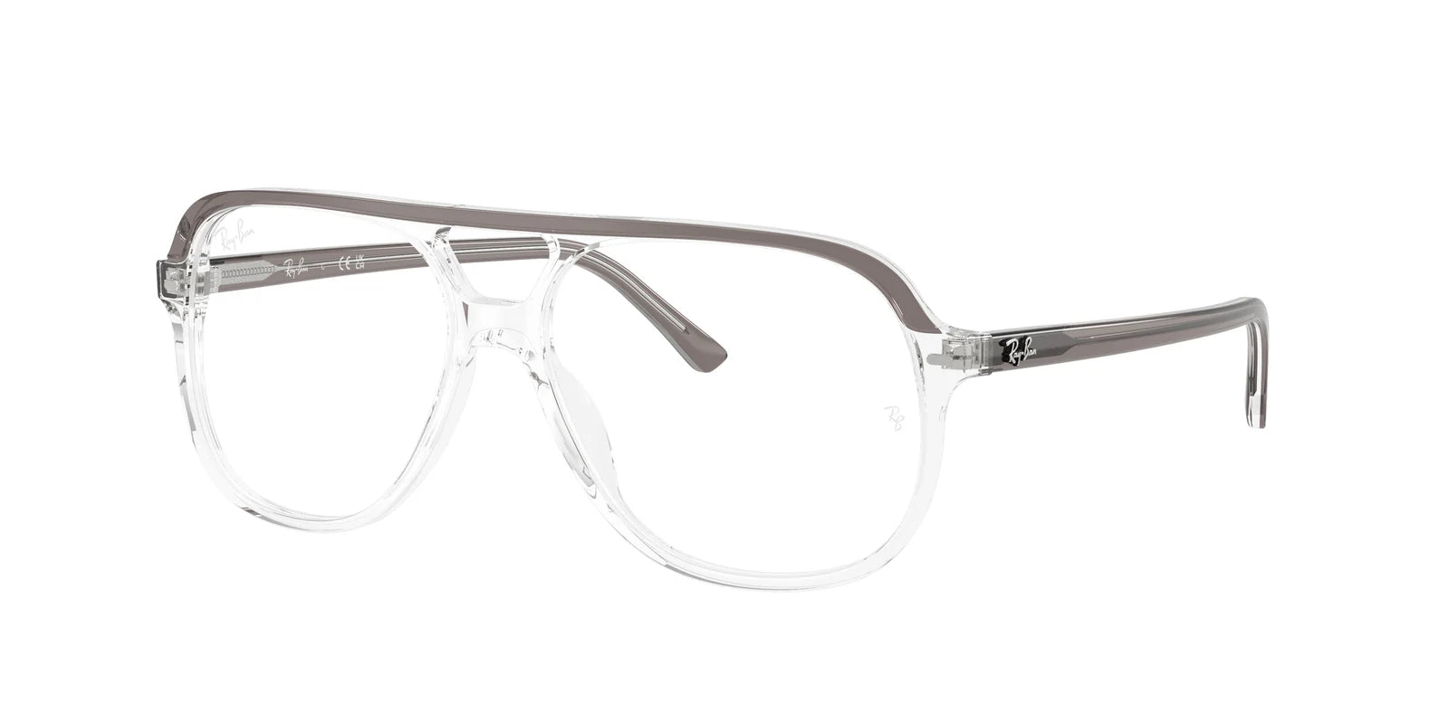 RayBan RX5698